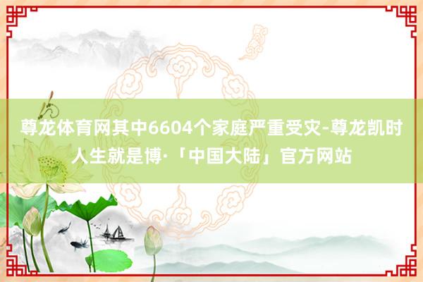 尊龙体育网其中6604个家庭严重受灾-尊龙凯时人生就是博·「中国大陆」官方网站