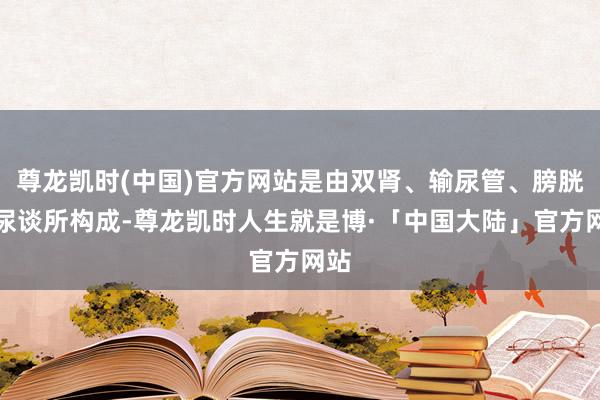 尊龙凯时(中国)官方网站是由双肾、输尿管、膀胱、尿谈所构成-尊龙凯时人生就是博·「中国大陆」官方网站