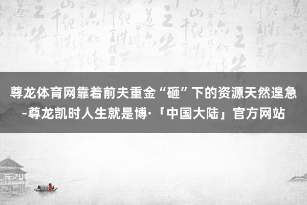 尊龙体育网靠着前夫重金“砸”下的资源天然遑急-尊龙凯时人生就是博·「中国大陆」官方网站