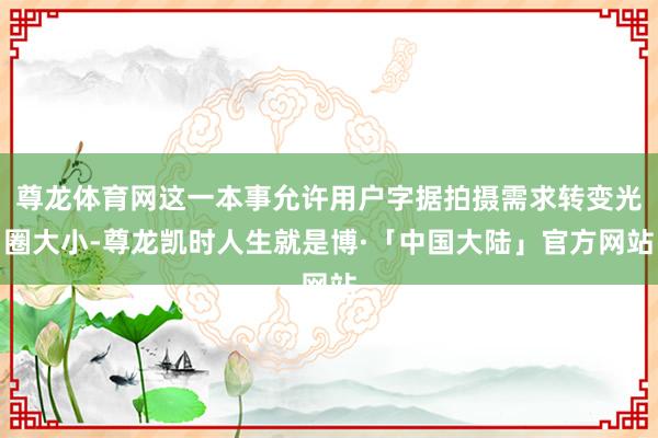 尊龙体育网这一本事允许用户字据拍摄需求转变光圈大小-尊龙凯时人生就是博·「中国大陆」官方网站